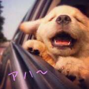 ヒメ日記 2025/11/06 10:36 投稿 あさひ 熟女デリヘル秘宝館Z