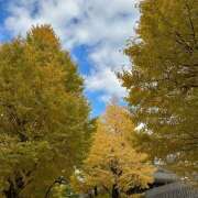 ヒメ日記 2025/11/15 10:36 投稿 あさひ 熟女デリヘル秘宝館Z