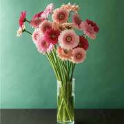 あさひ おはようございます。 熟女デリヘル秘宝館Z