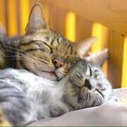 あさひ おはようございます。 熟女デリヘル秘宝館Z