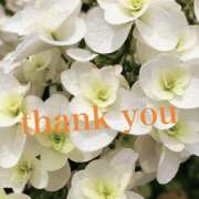 あさひ こんばんは 熟女デリヘル秘宝館Z