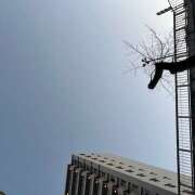 ヒメ日記 2026/01/16 17:11 投稿 あさひ 熟女デリヘル秘宝館Z