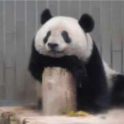 あさひ さようなら 熟女デリヘル秘宝館Z