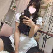 ヒメ日記 2025/03/20 17:31 投稿 いつか ホワイトハウス