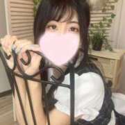 ヒメ日記 2025/03/20 23:31 投稿 いつか ホワイトハウス