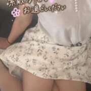 ヒメ日記 2025/05/11 16:41 投稿 松本 鶯谷人妻城