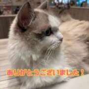 ヒメ日記 2025/03/17 23:48 投稿 ありさ 熟女の風俗最終章 高崎店