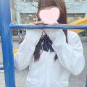 ヒメ日記 2025/03/23 18:01 投稿 水瀬せな JKリフレ東京 秋葉原本店