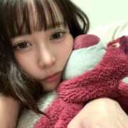 ヒメ日記 2026/03/31 14:21 投稿 ゆあ お姉京都