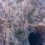 ヒメ日記 2025/03/25 16:07 投稿 ななみ eroina