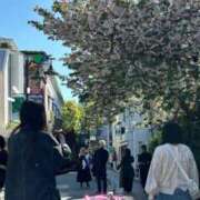 ヒメ日記 2025/04/14 22:10 投稿 ななみ eroina