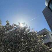 ヒメ日記 2025/04/27 15:17 投稿 ななみ eroina