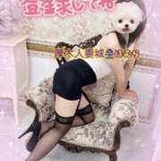 ヒメ日記 2025/08/08 18:56 投稿 ほむら 厚木人妻城