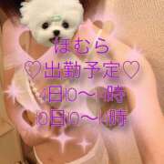 ヒメ日記 2025/09/01 22:38 投稿 ほむら 厚木人妻城