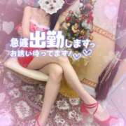 ヒメ日記 2025/12/14 11:55 投稿 ほむら 厚木人妻城