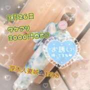 ヒメ日記 2026/03/25 03:18 投稿 ほむら 厚木人妻城