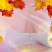 ヒメ日記 2025/10/30 18:18 投稿 いと 北九州熟女倶楽部　五十路