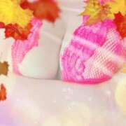 ヒメ日記 2025/11/28 16:24 投稿 いと 北九州熟女倶楽部　五十路