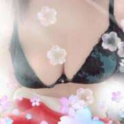 ヒメ日記 2026/04/05 11:07 投稿 いと 北九州熟女倶楽部　五十路