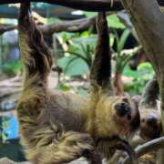 ヒメ日記 2025/08/10 21:40 投稿 りえ 新小岩デリヘル ラブセレクション