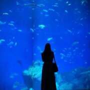 ヒメ日記 2025/09/25 22:25 投稿 りえ 新小岩デリヘル ラブセレクション