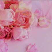 ヒメ日記 2025/04/16 13:45 投稿 とも モアグループ川越人妻花壇