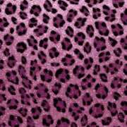 ヒメ日記 2025/08/27 21:14 投稿 まりん 横浜Cute