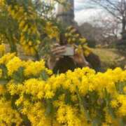 ヒメ日記 2025/03/25 09:30 投稿 ゆあ 美女のカタチ