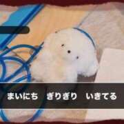 ヒメ日記 2025/04/30 12:07 投稿 ゆあ 美女のカタチ