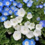 ヒメ日記 2025/05/06 09:36 投稿 ゆあ 美女のカタチ