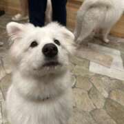 ヒメ日記 2025/05/08 16:06 投稿 ゆあ 美女のカタチ