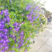 ヒメ日記 2025/05/10 18:36 投稿 ゆあ 美女のカタチ