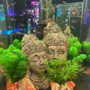 ヒメ日記 2025/05/14 12:26 投稿 ゆあ 美女のカタチ