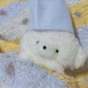 ヒメ日記 2025/05/14 18:06 投稿 ゆあ 美女のカタチ