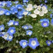 ヒメ日記 2025/09/15 14:56 投稿 ゆあ 美女のカタチ