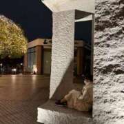 ヒメ日記 2025/11/07 11:56 投稿 ゆあ 美女のカタチ