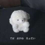 ヒメ日記 2025/11/12 23:06 投稿 ゆあ 美女のカタチ