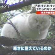 ヒメ日記 2025/03/19 17:26 投稿 くれは☆SS級ロリ系美少女 AQUA（辻）