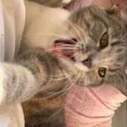 ヒメ日記 2025/05/10 19:06 投稿 くれは☆SS級ロリ系美少女 AQUA（辻）