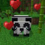 ヒメ日記 2025/07/03 10:46 投稿 くれは☆SS級ロリ系美少女 AQUA（辻）