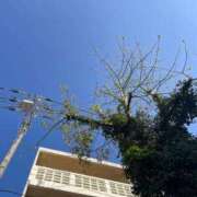 ヒメ日記 2025/04/12 12:00 投稿 まりな☆S級可愛い妹系 AQUA（辻）