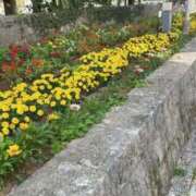 まりな☆S級可愛い妹系 明日出勤！ AQUA（辻）