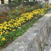 ヒメ日記 2026/01/09 09:16 投稿 まりな☆S級可愛い妹系 AQUA（辻）