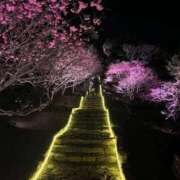 ヒメ日記 2026/02/13 14:16 投稿 まりな☆S級可愛い妹系 AQUA（辻）