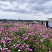 ヒメ日記 2026/03/06 23:16 投稿 まりな☆S級可愛い妹系 AQUA（辻）