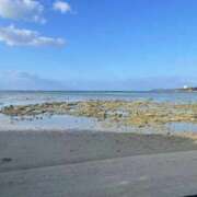 ヒメ日記 2026/03/17 19:16 投稿 まりな☆S級可愛い妹系 AQUA（辻）