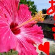 ヒメ日記 2025/03/27 10:26 投稿 いつき☆S級最高峰熟女 AQUA（辻）