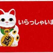 ヒメ日記 2025/06/03 12:06 投稿 いつき☆S級最高峰熟女 AQUA（辻）