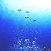 ヒメ日記 2025/06/22 14:36 投稿 いつき☆S級最高峰熟女 AQUA（辻）