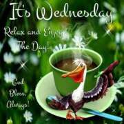 ヒメ日記 2025/08/27 07:26 投稿 いつき☆S級最高峰熟女 AQUA（辻）